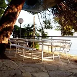 The House In Tribanj