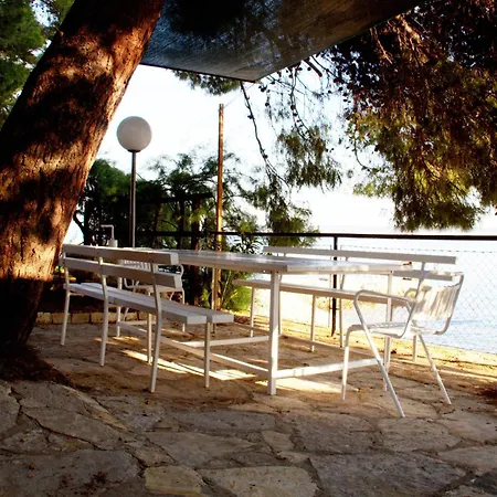 The House In Tribanj